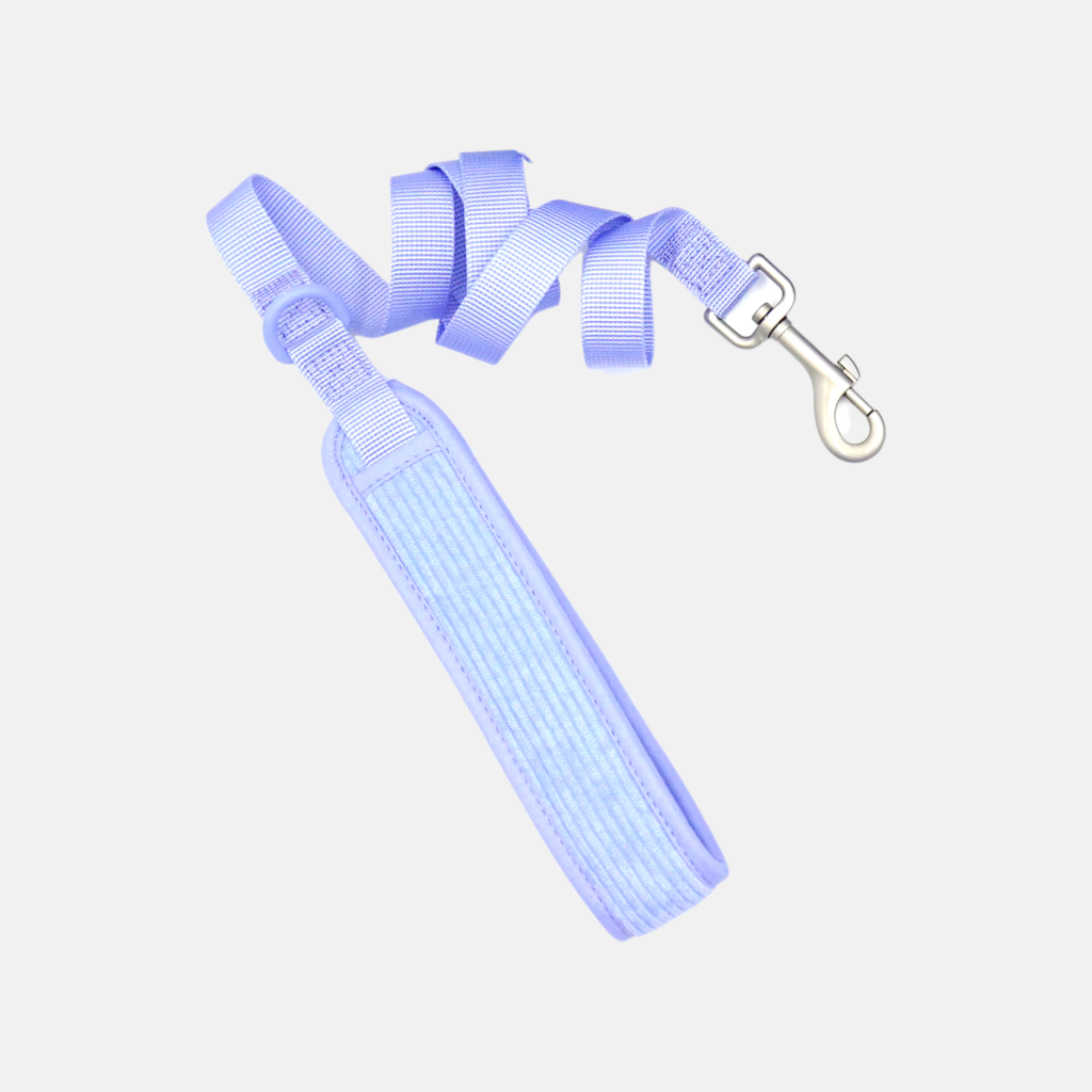 Leash
