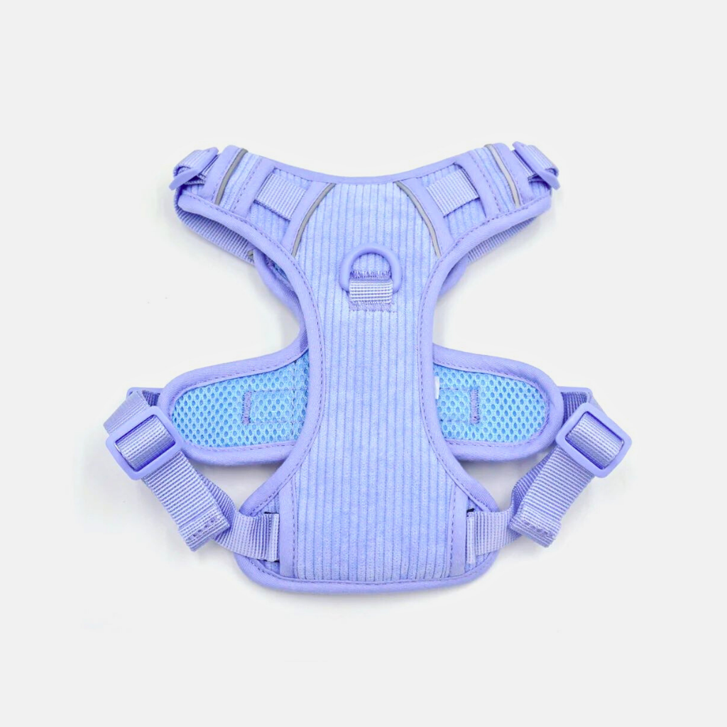 LavenderBlue_2_72c74b99-25af-4d9c-adb1-474031f0f011.png