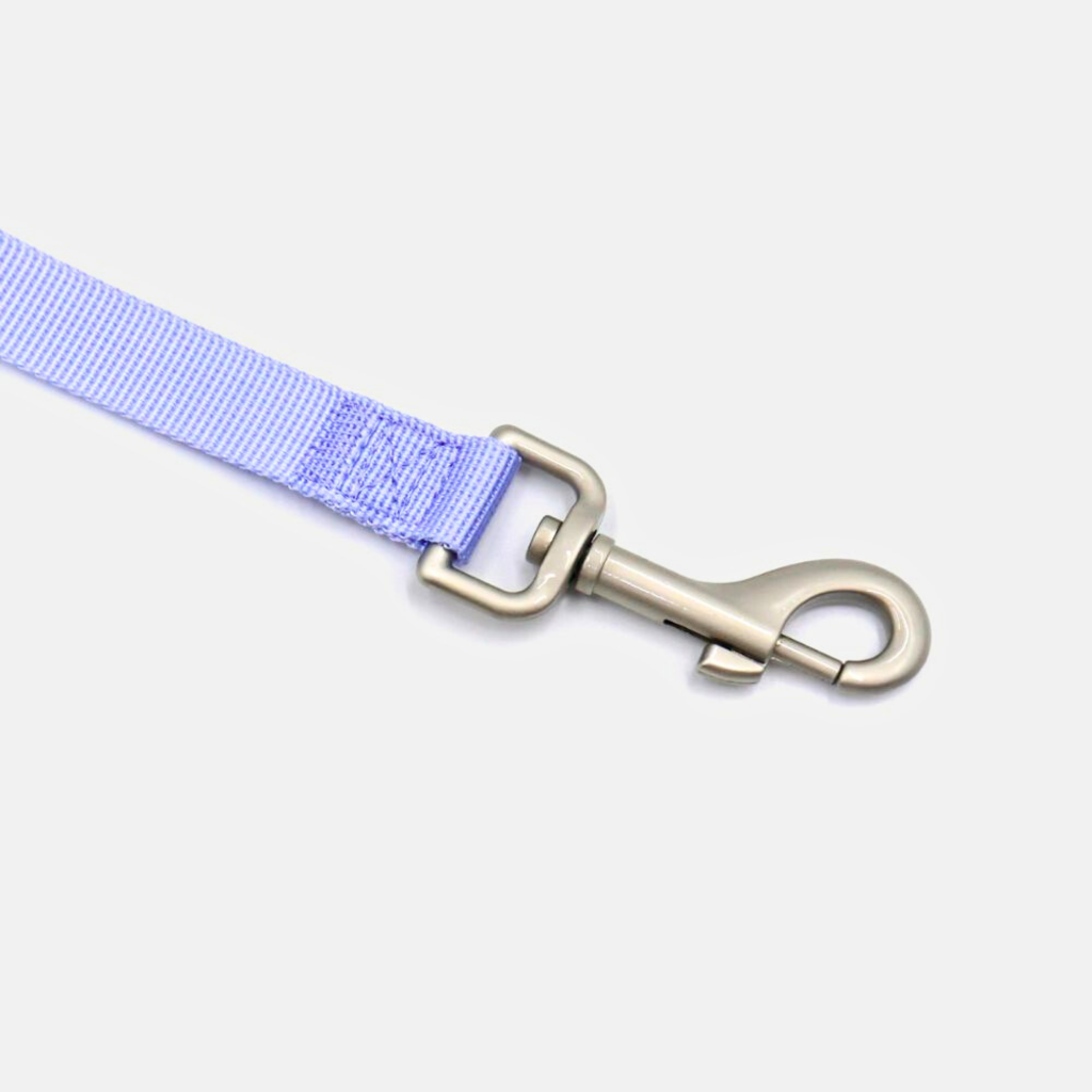 Leash