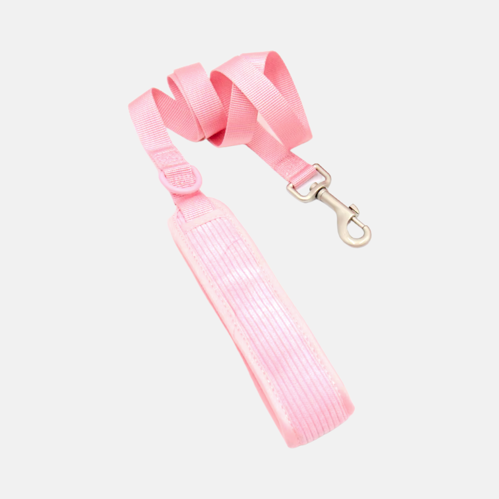 Leash