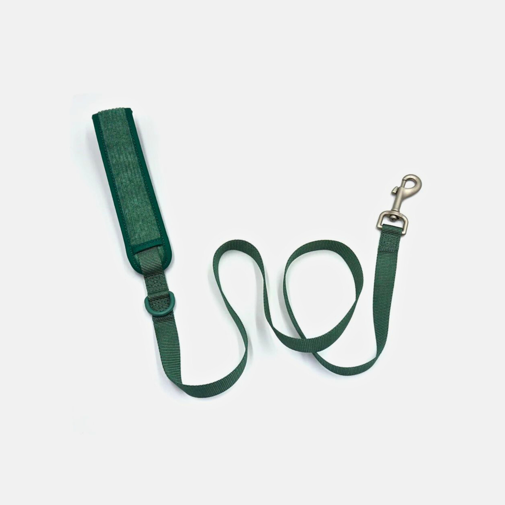Leash