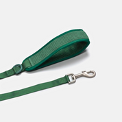 Leash