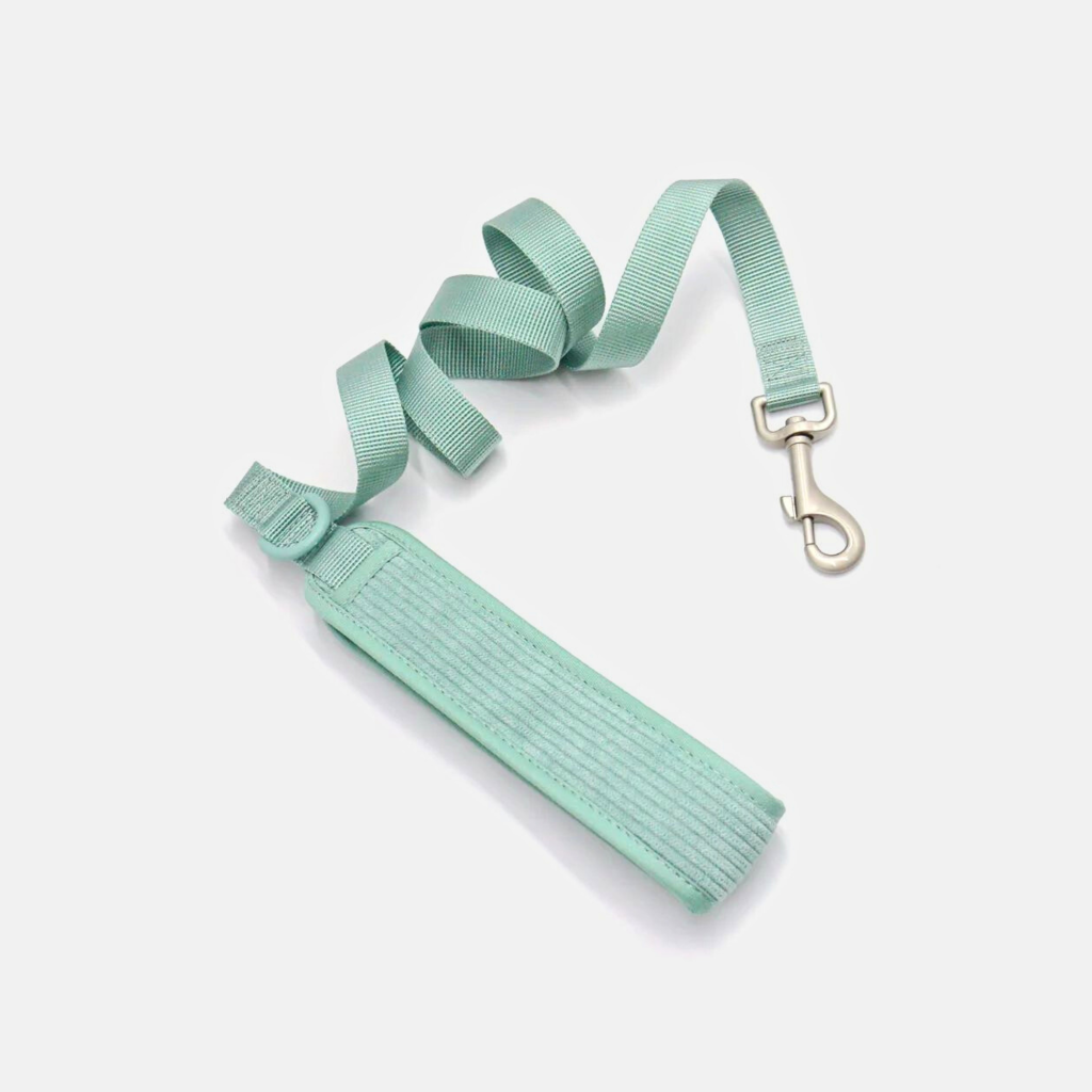 Leash