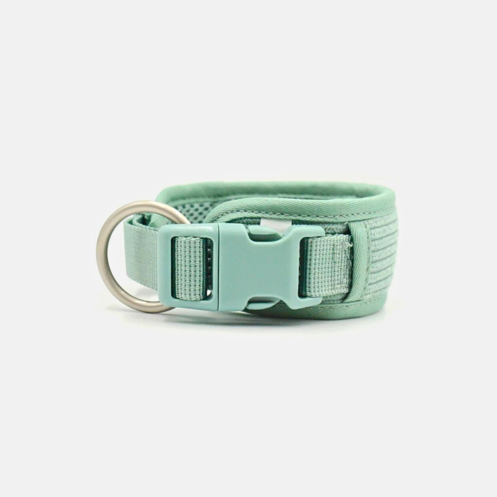 Collar