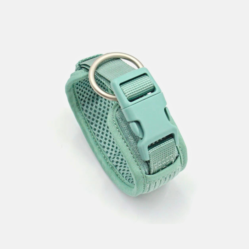 Seafoam_2_e5877949-52eb-4b92-83b5-db51870c0171.png