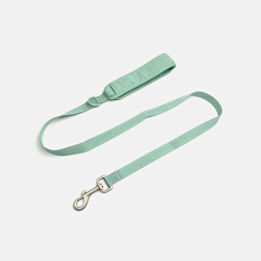 Seafoam_2_ef5c02e0-c377-4ef3-b291-68c65a7a24ee.png