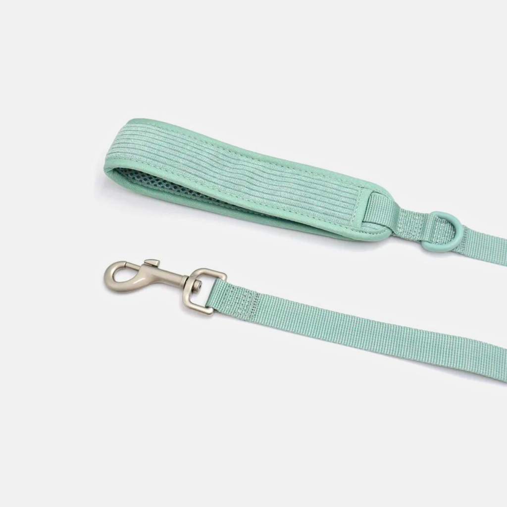 Leash