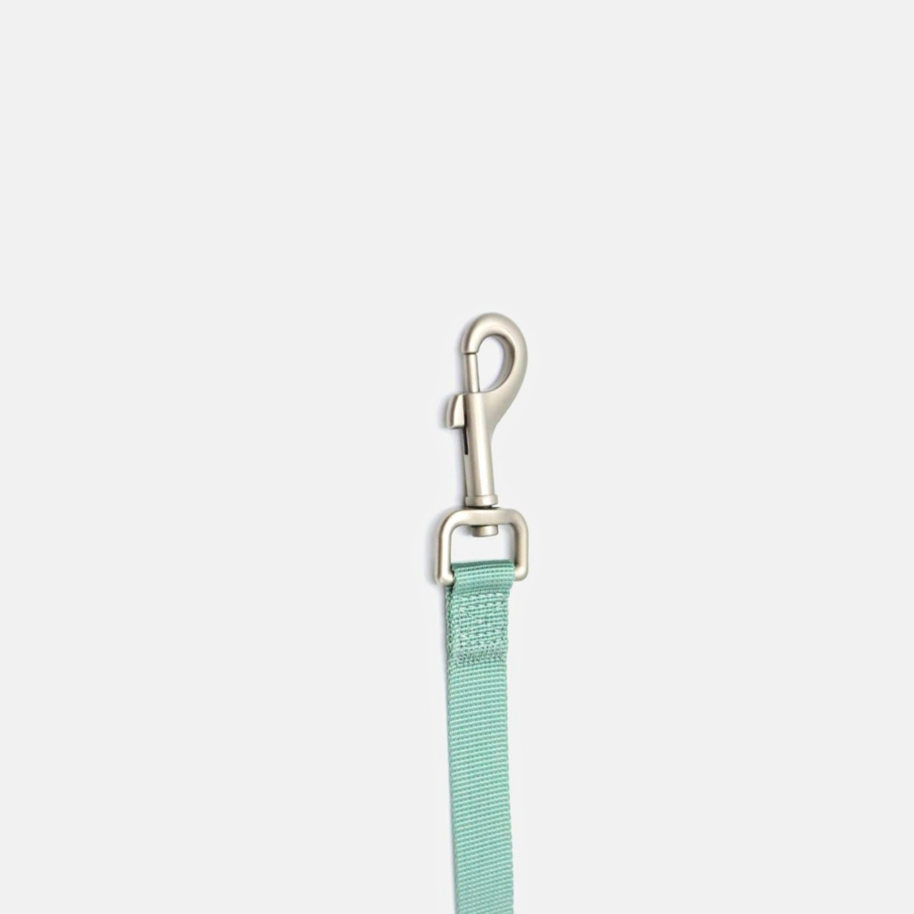 Leash