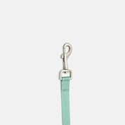 Leash