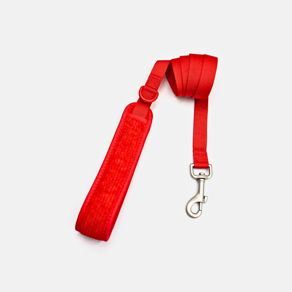 Leash