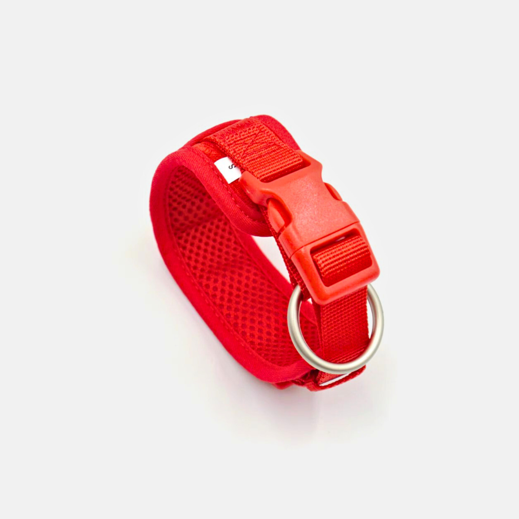 Strawberry_2_5163de07-e027-4a30-81ff-31eff292e9a7.png