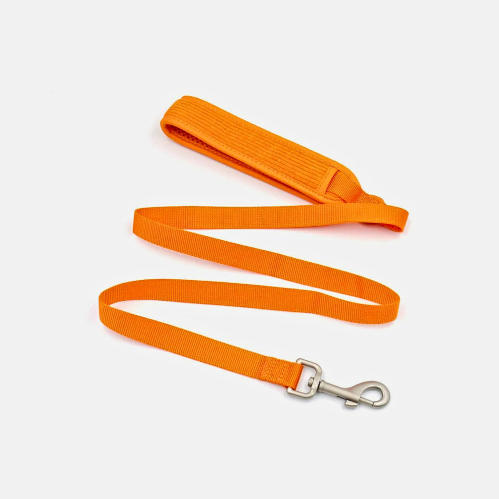 Leash