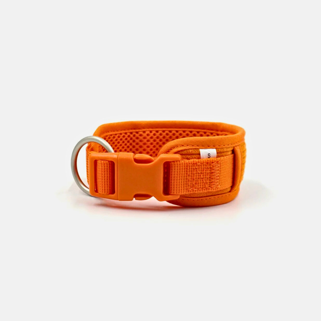 Collar