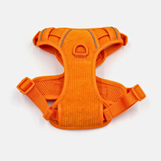 Harness