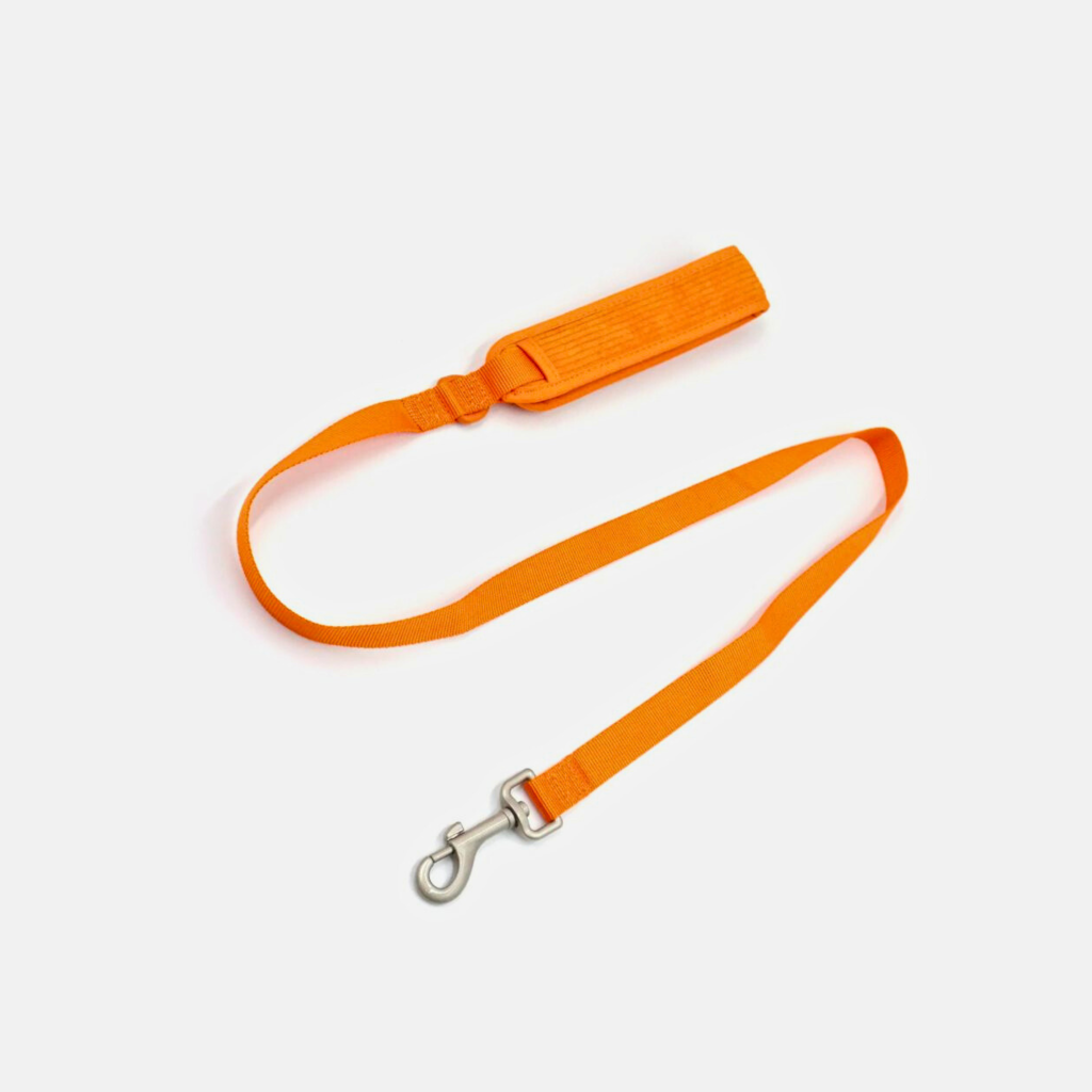 Tangerine_2_a29e44a2-b098-475e-91a5-feccbce0061f.png