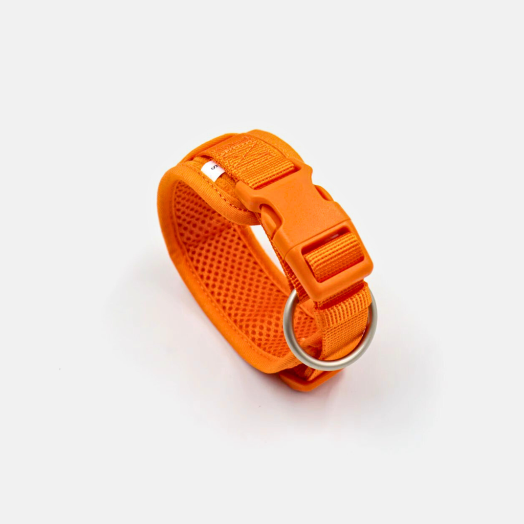 Tangerine_2_ea6753bc-389f-4e04-b7f3-c3e5fa34dfef.png