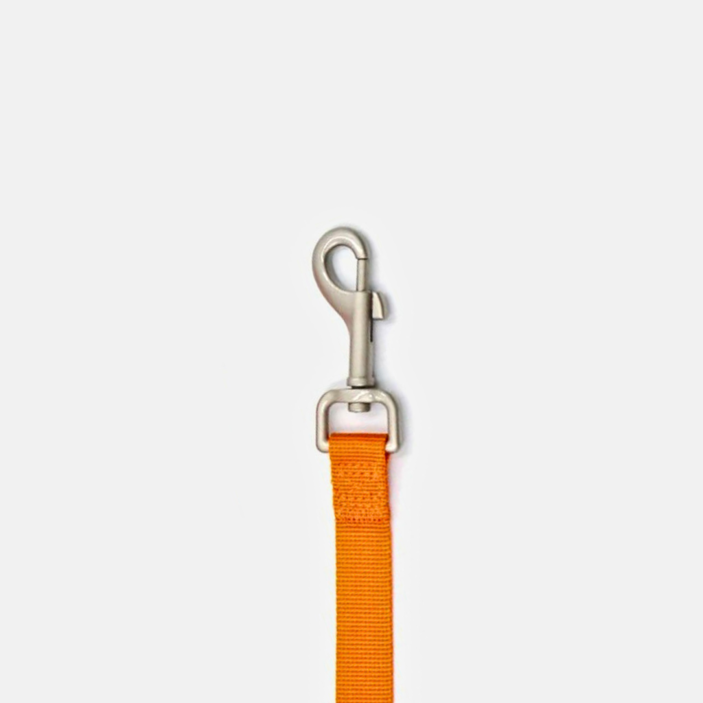 Leash