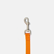Leash